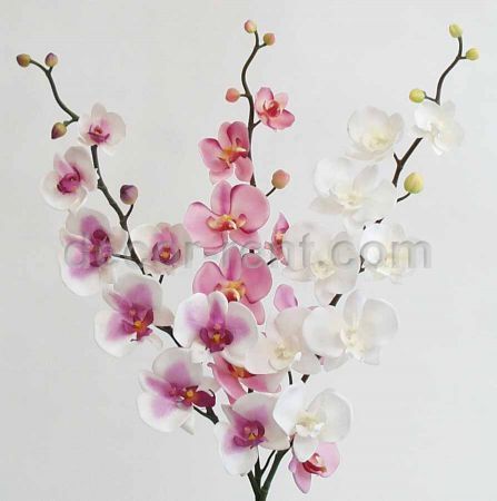 Orchid Spray Dark Pink Now White Decor-rent